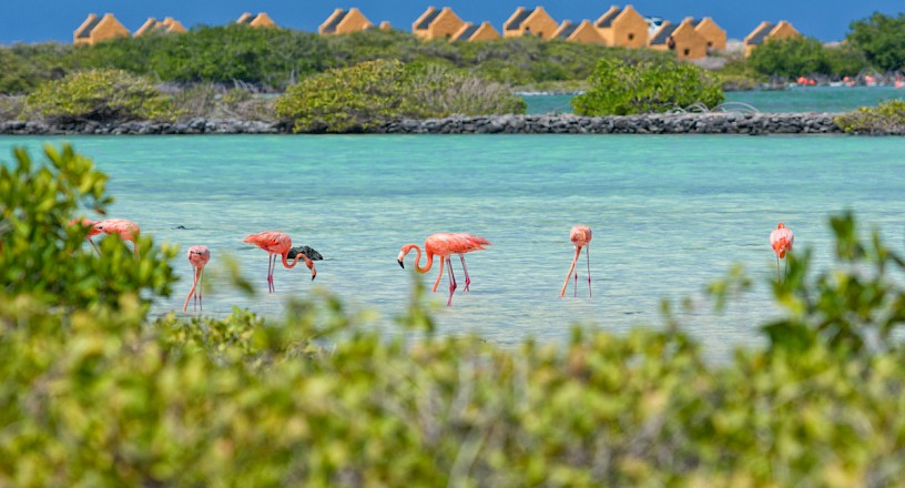 Kralendijk, Bonaire