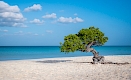 Eagle Beach (Oranjestad), Aruba