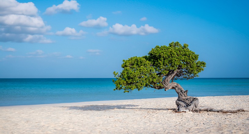 Eagle Beach, Aruba