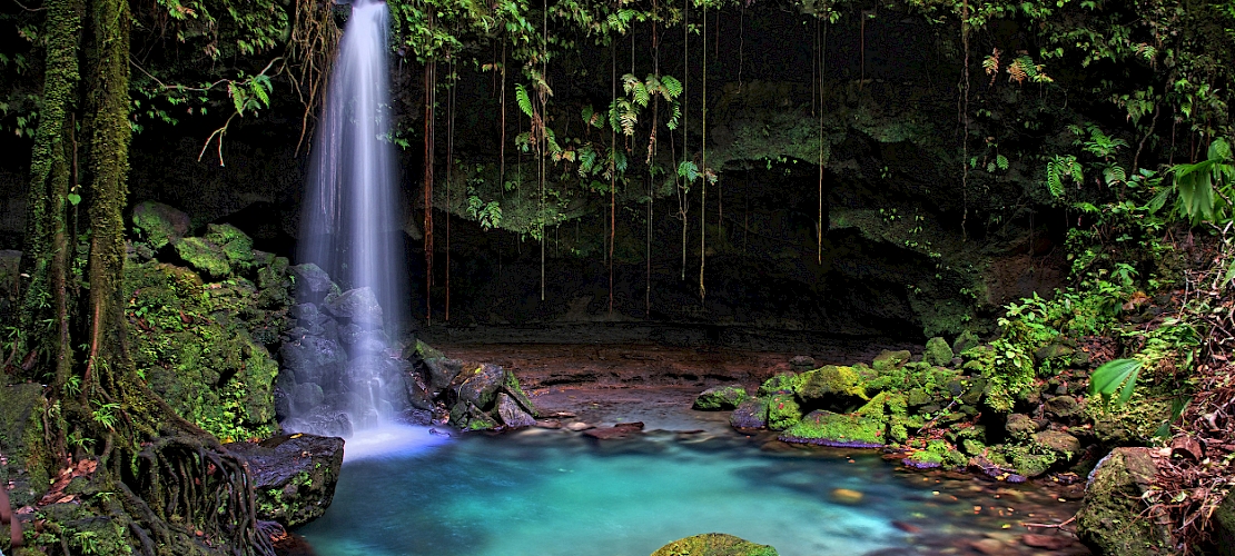 Emerald Pool (Roseau), Dominique