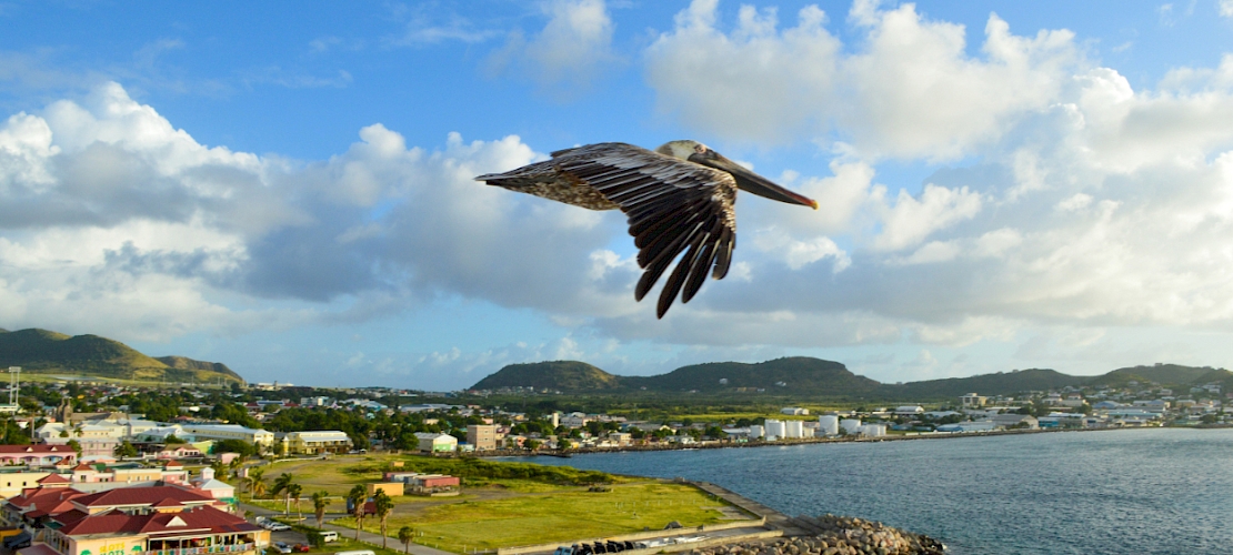 Basseterre, Saint-Kitts