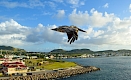 Basseterre, Saint-Kitts