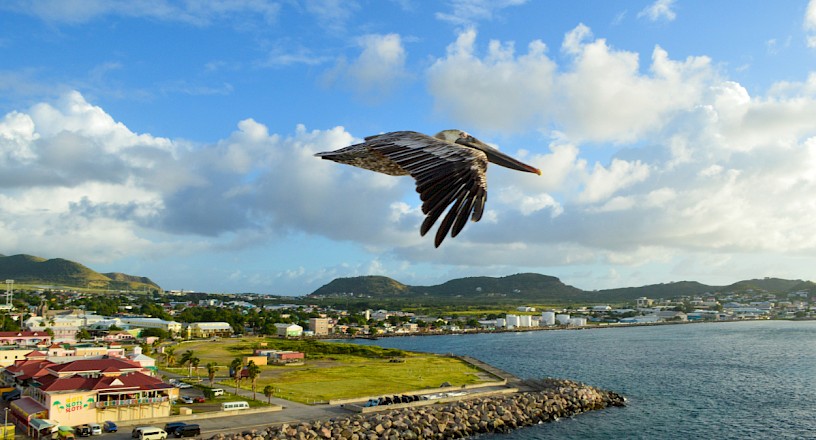 Basseterre, Saint-Kitts