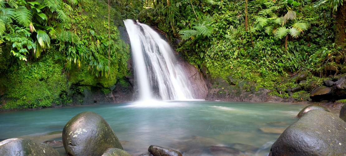 Cascade aux écrevisses (Pointe-à-Pitre), Guadeloupe