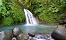 Cascade aux écrevisses (Pointe-à-Pitre), Guadeloupe