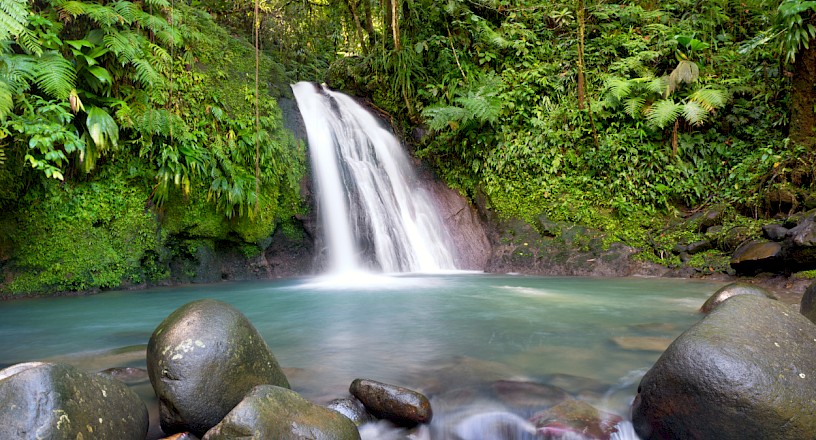 Cascade aux écrevisses (Pointe-à-Pitre), Guadeloupe