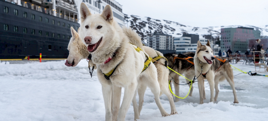 Hammerfest, Norvège